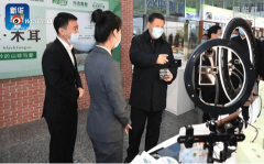 電商作為新興業態大有可為，學電商為什么來新華？